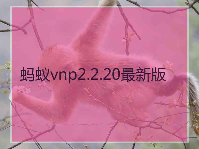 蚂蚁vnp2.2.20最新版