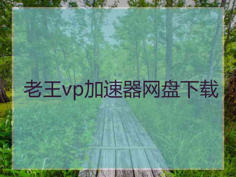 老王vp加速器网盘下载