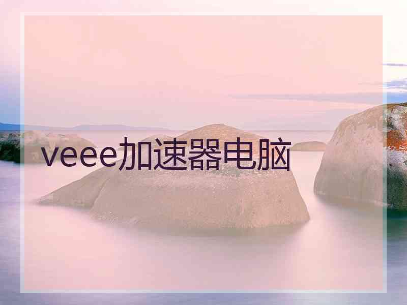 veee加速器电脑