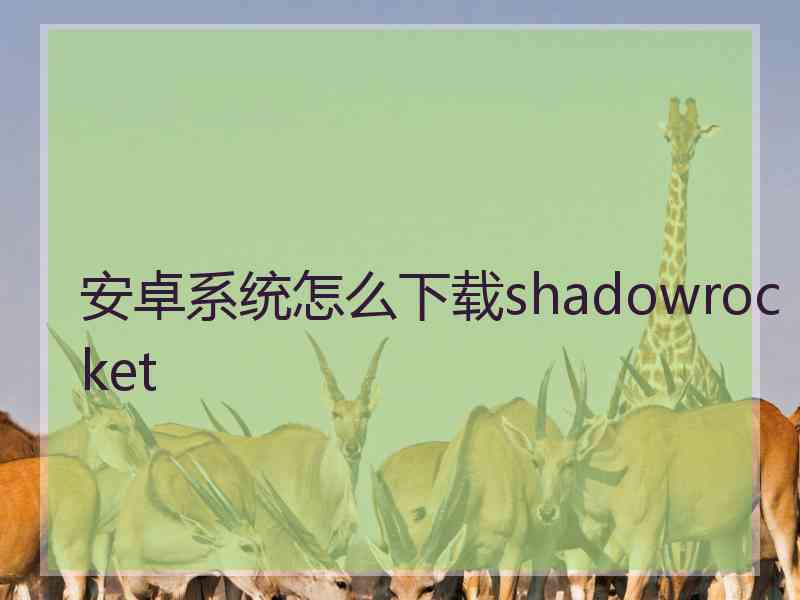 安卓系统怎么下载shadowrocket