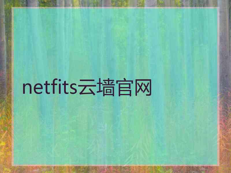 netfits云墙官网