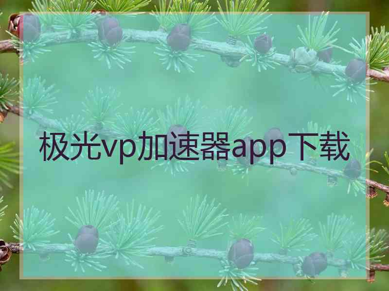 极光vp加速器app下载