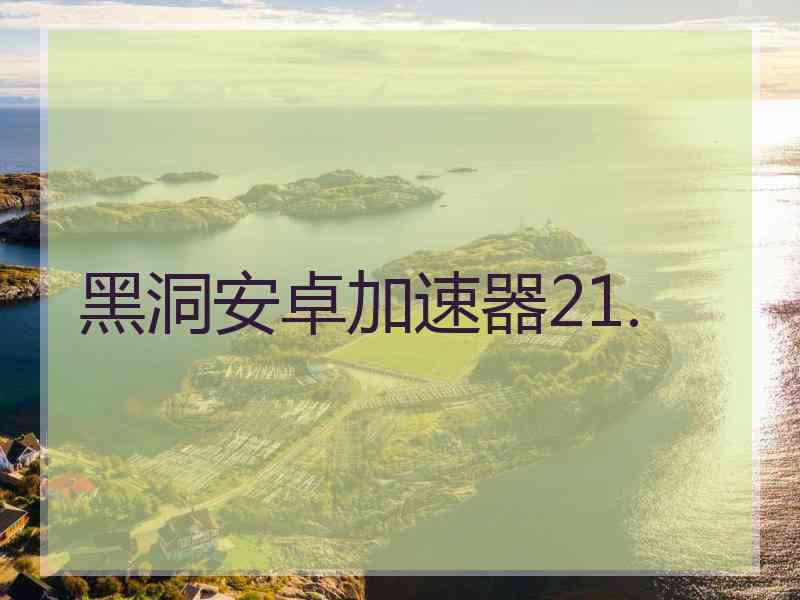 黑洞安卓加速器21.