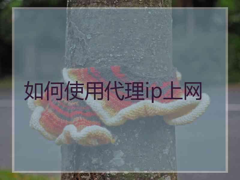 如何使用代理ip上网