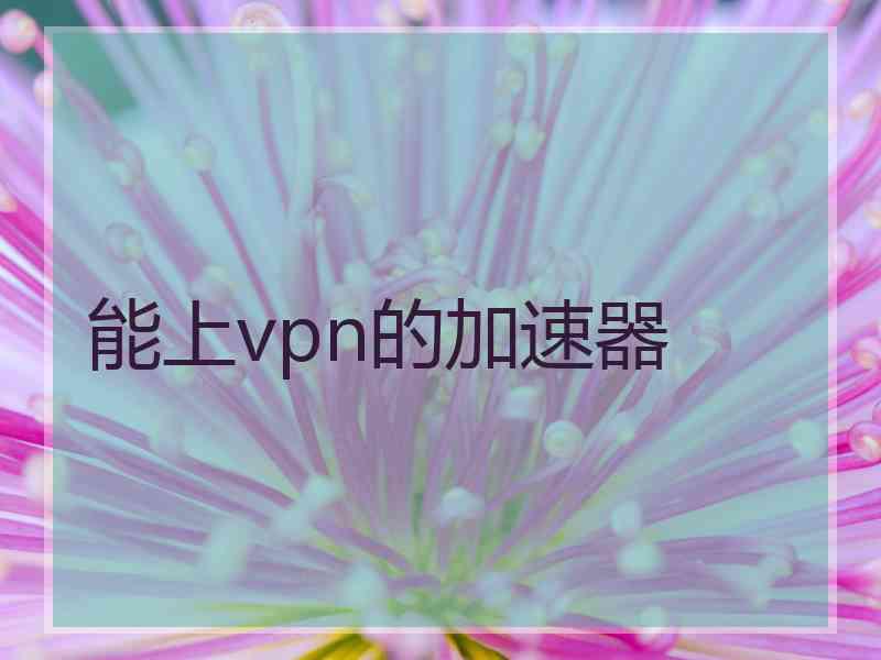 能上vpn的加速器