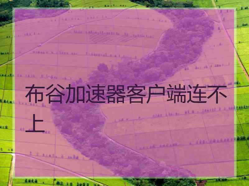 布谷加速器客户端连不上