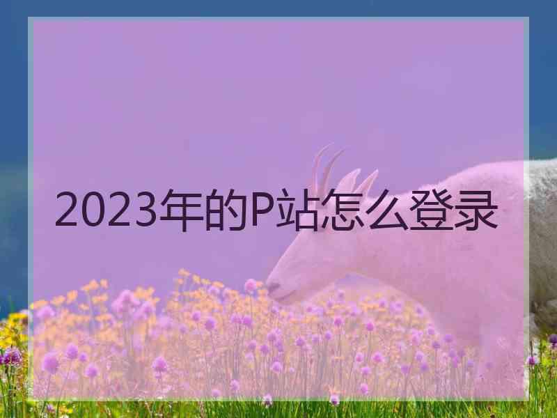 2023年的P站怎么登录