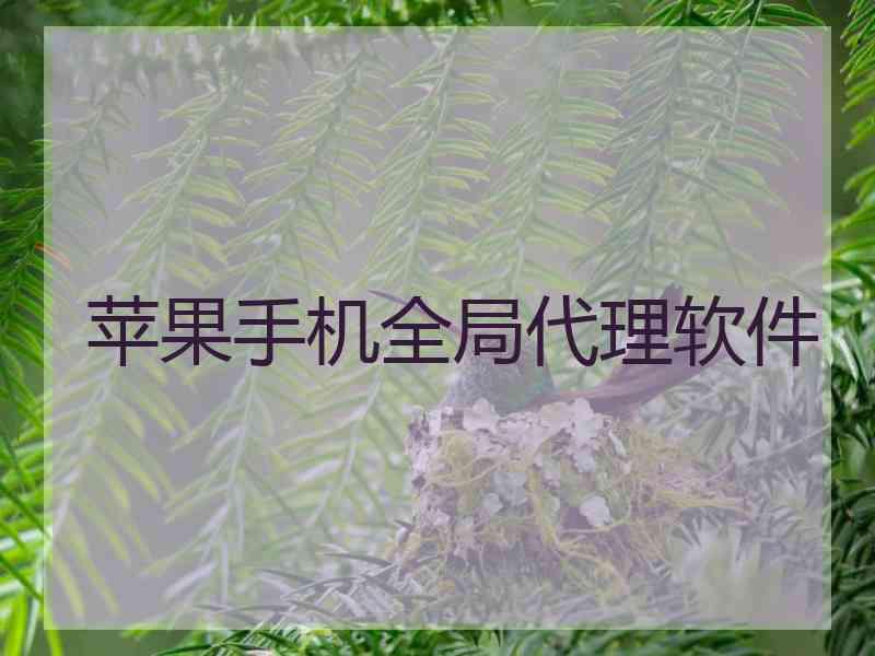 苹果手机全局代理软件