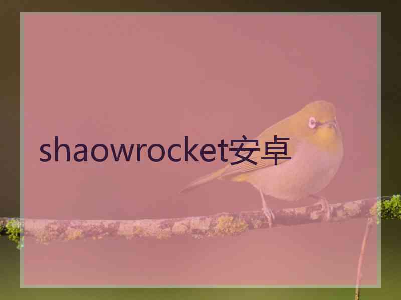 shaowrocket安卓