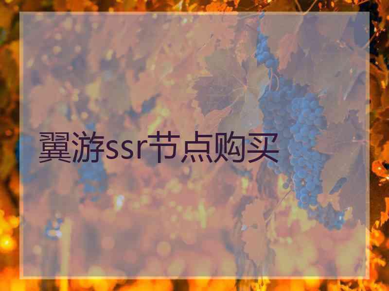 翼游ssr节点购买