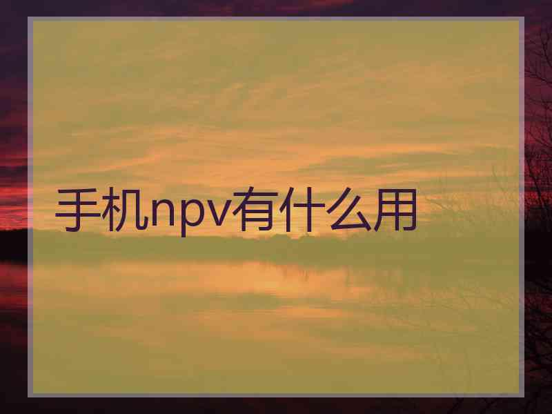 手机npv有什么用