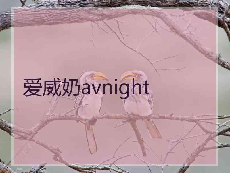 爱威奶avnight