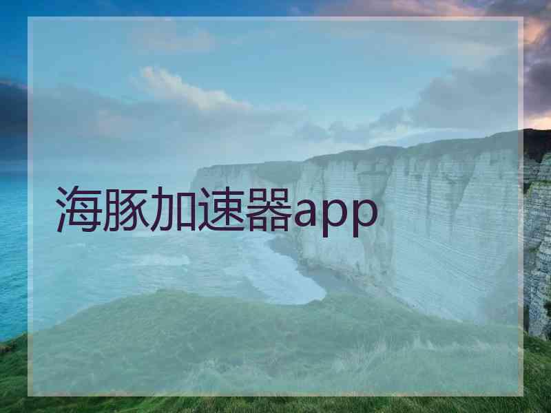 海豚加速器app