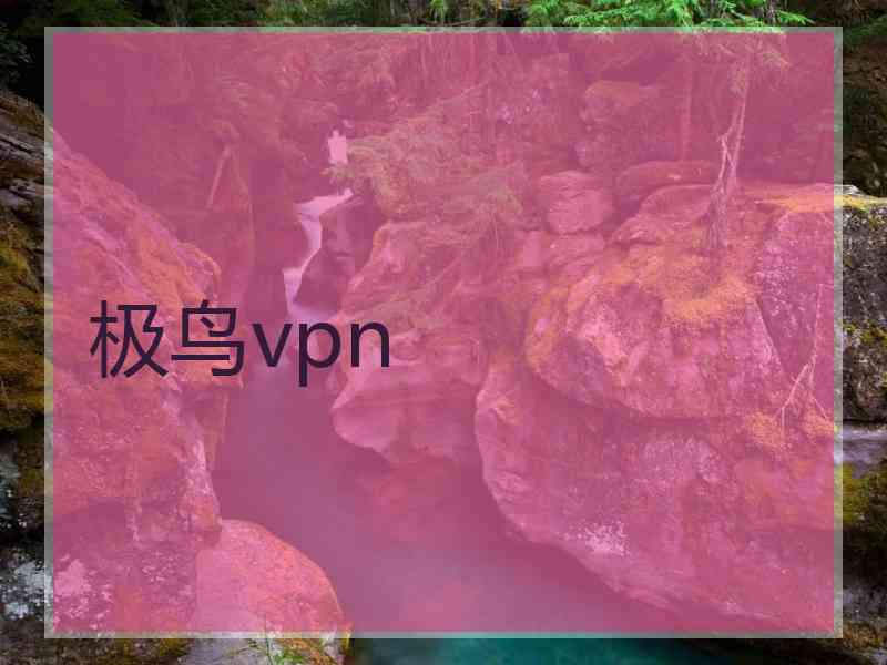 极鸟vpn