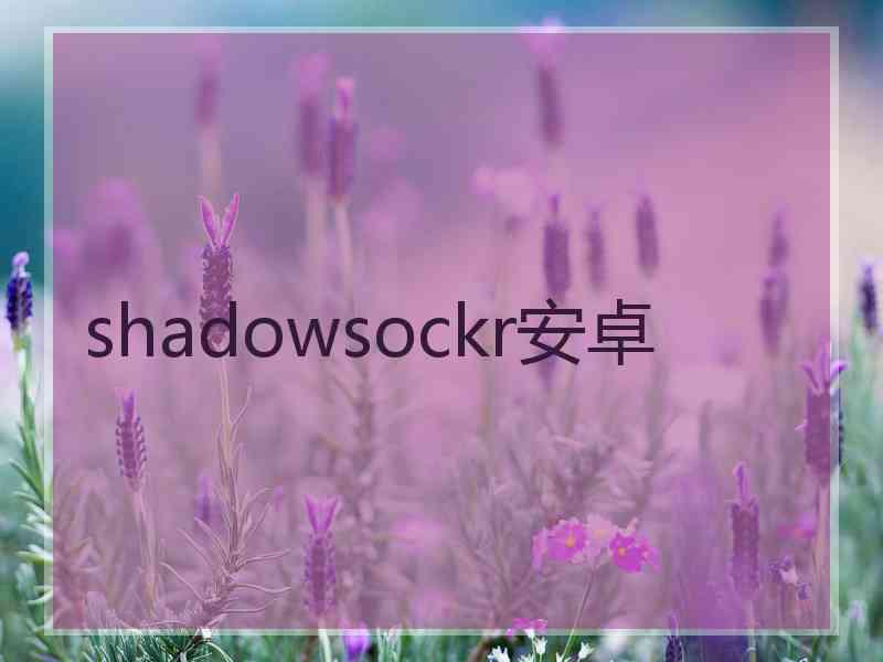 shadowsockr安卓