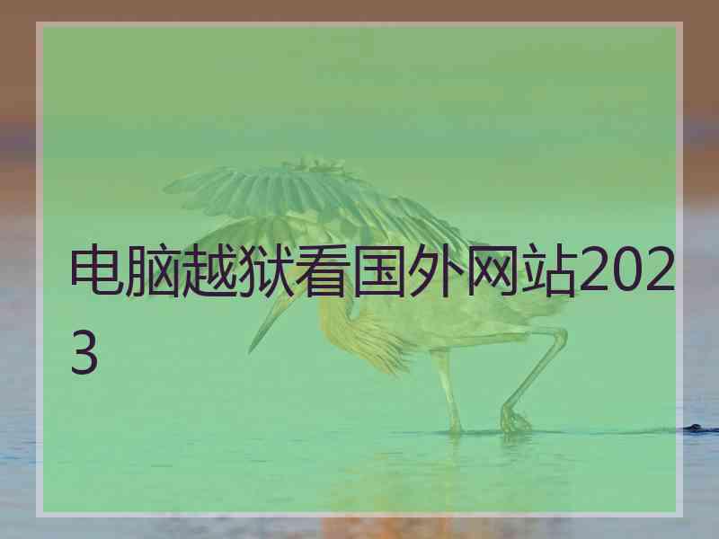 电脑越狱看国外网站2023