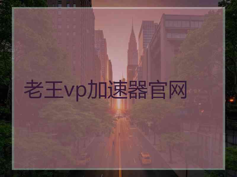 老王vp加速器官网