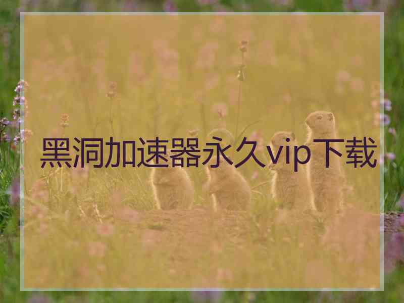 黑洞加速器永久vip下载