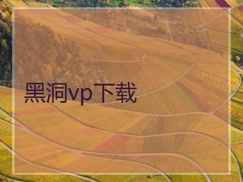 黑洞vp下载