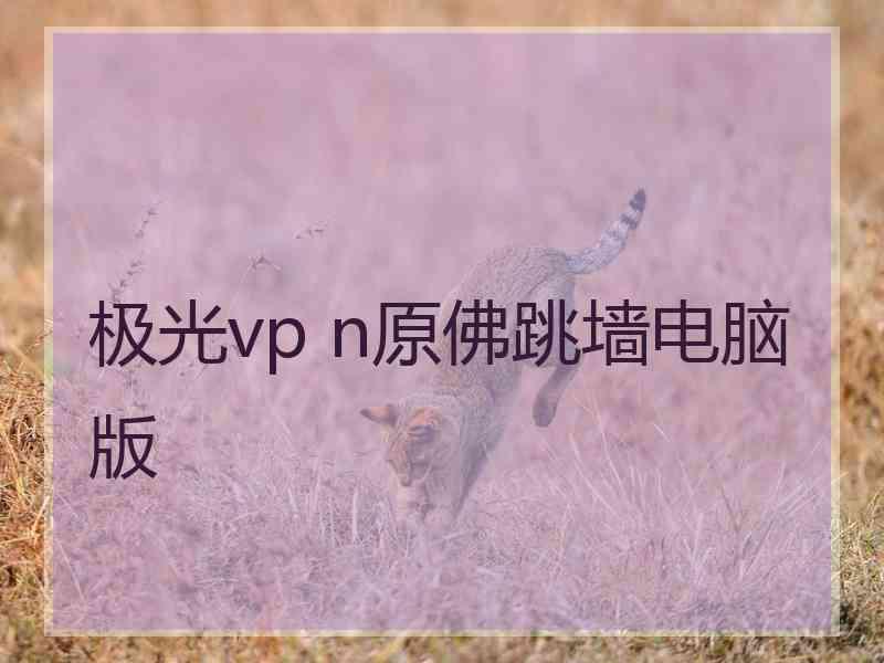 极光vp n原佛跳墙电脑版