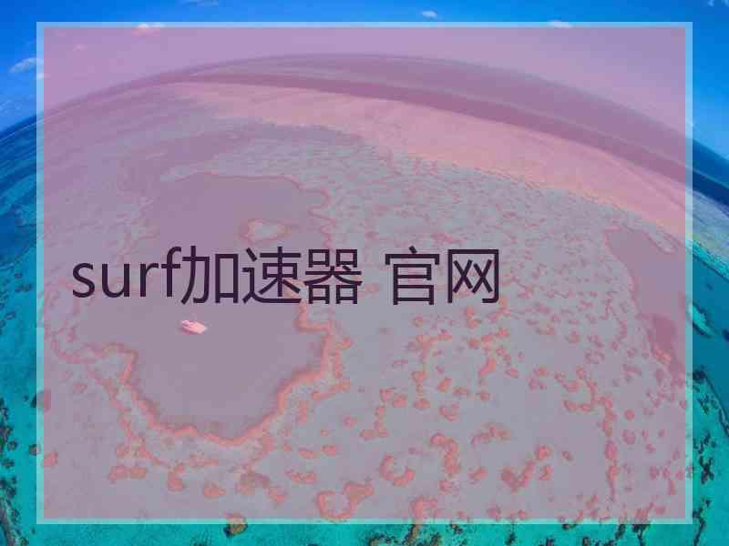 surf加速器 官网