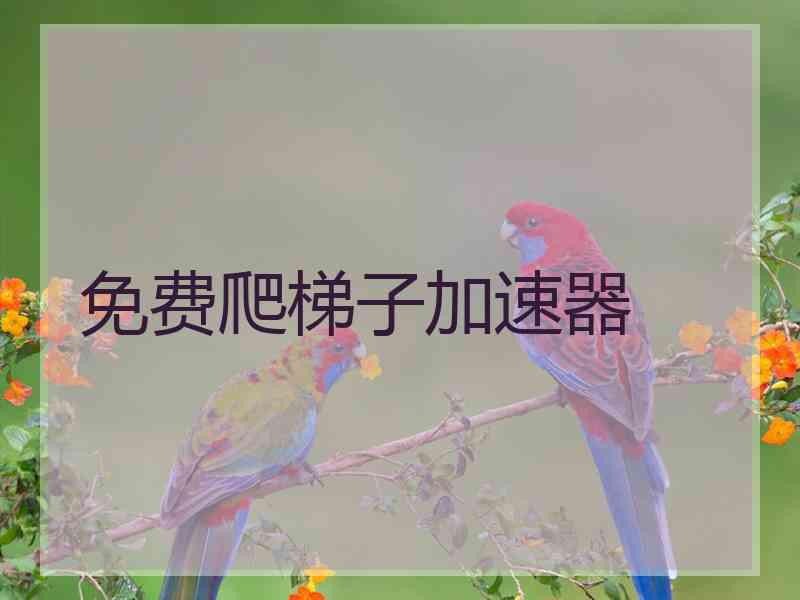 免费爬梯子加速器