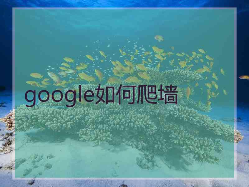 google如何爬墙