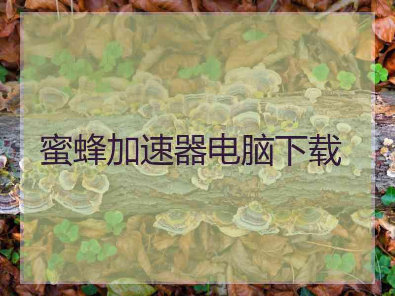 蜜蜂加速器电脑下载