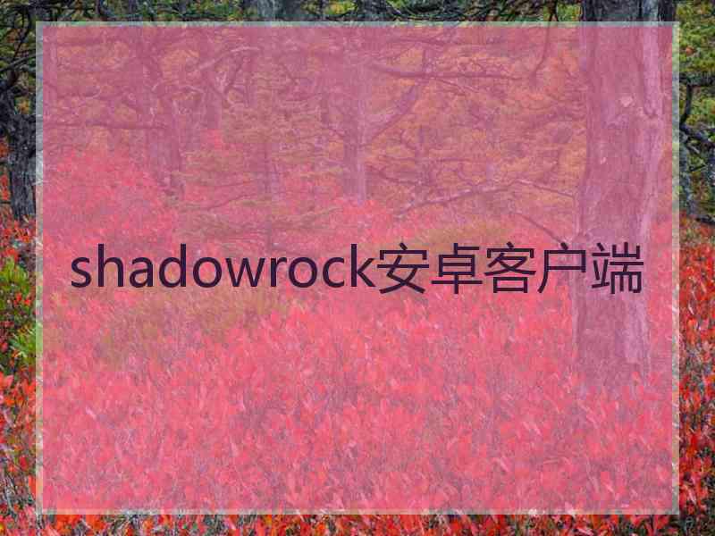 shadowrock安卓客户端