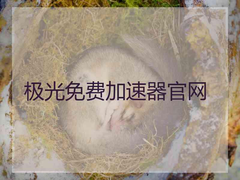 极光免费加速器官网