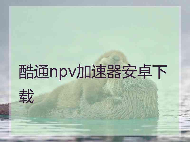 酷通npv加速器安卓下载