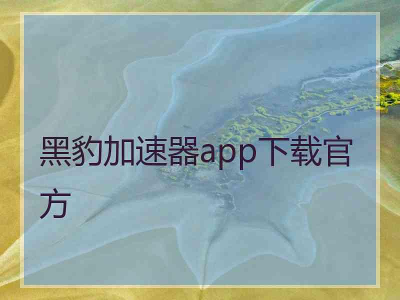 黑豹加速器app下载官方