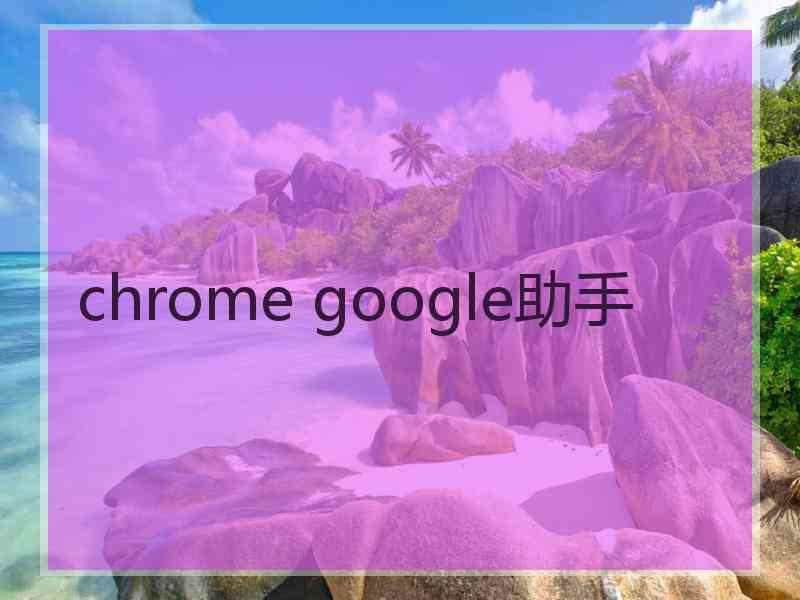 chrome google助手