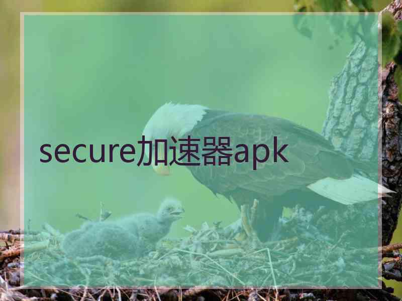 secure加速器apk