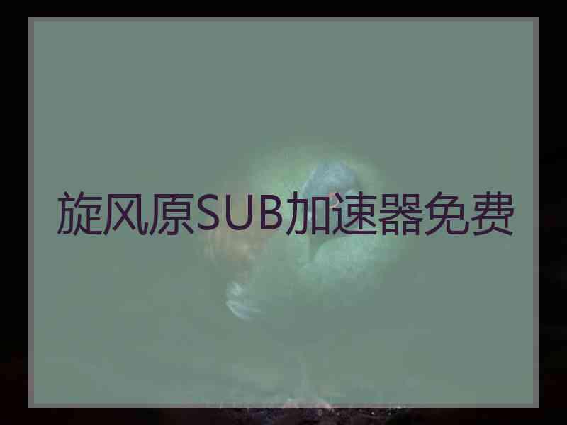 旋风原SUB加速器免费