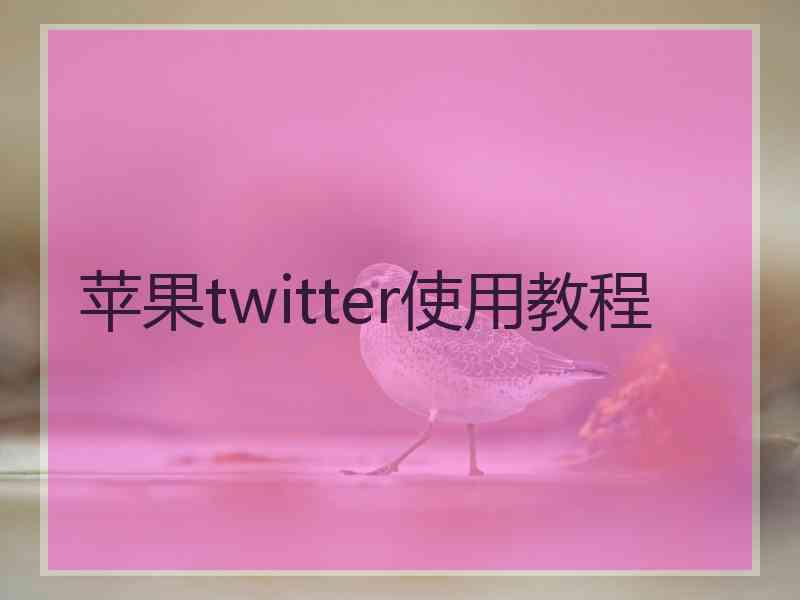 苹果twitter使用教程