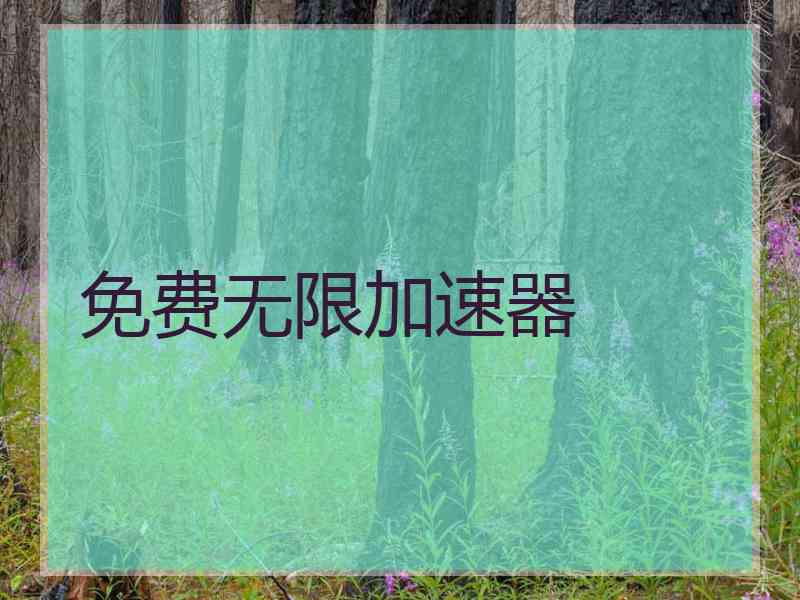 免费无限加速器