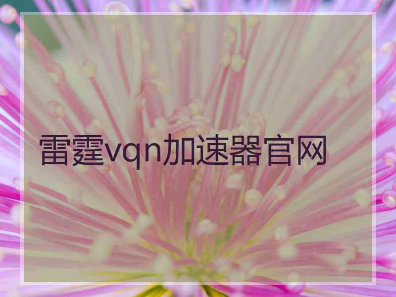 雷霆vqn加速器官网