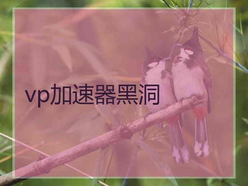 vp加速器黑洞