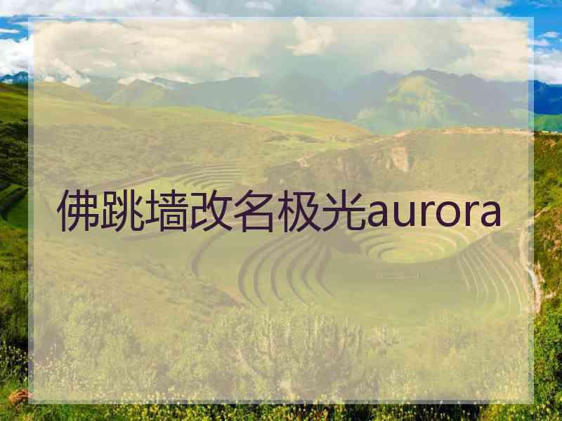 佛跳墙改名极光aurora