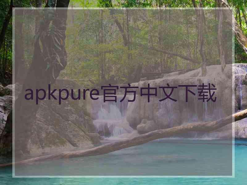 apkpure官方中文下载