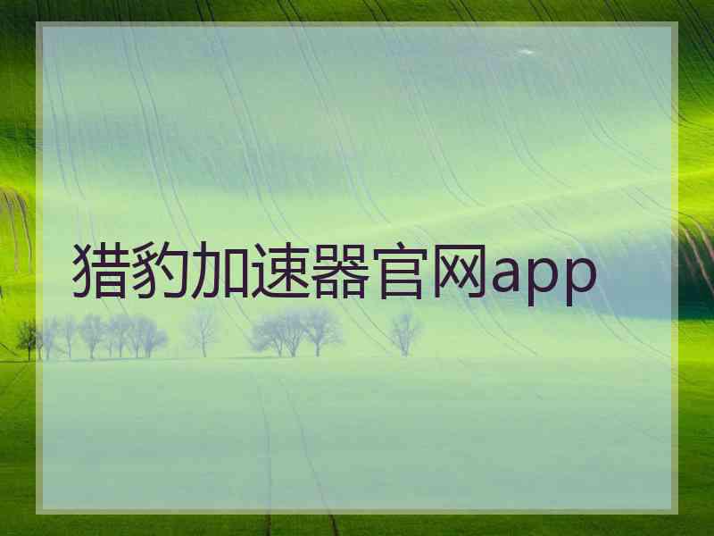 猎豹加速器官网app