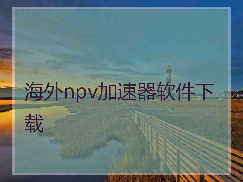 海外npv加速器软件下载