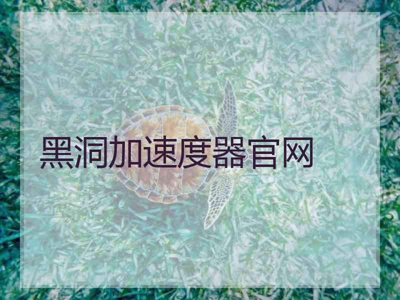 黑洞加速度器官网