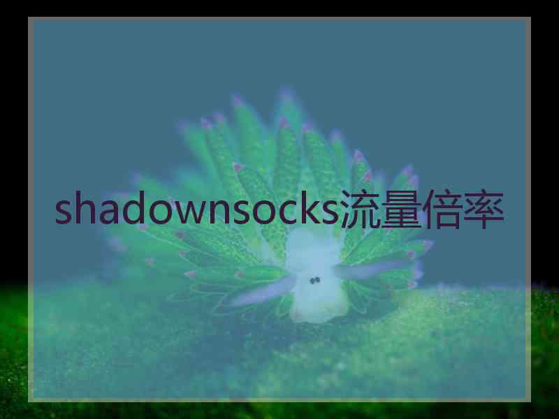 shadownsocks流量倍率