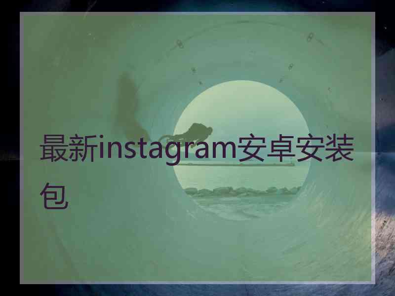 最新instagram安卓安装包