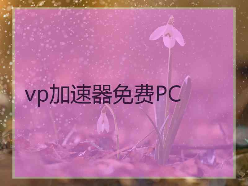 vp加速器免费PC