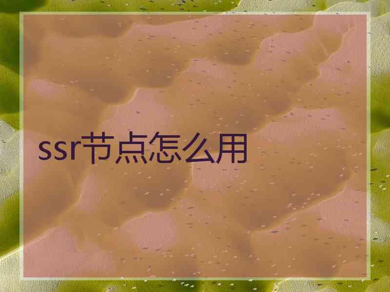 ssr节点怎么用