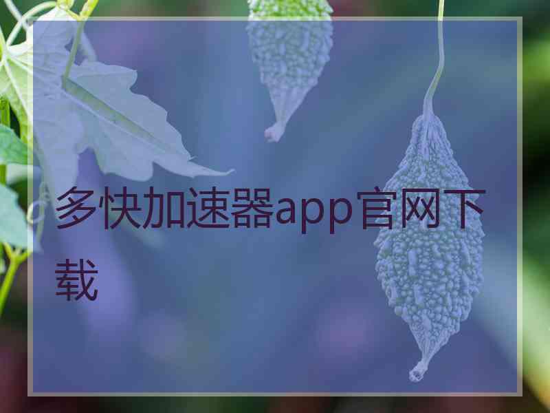 多快加速器app官网下载