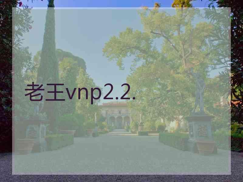 老王vnp2.2.